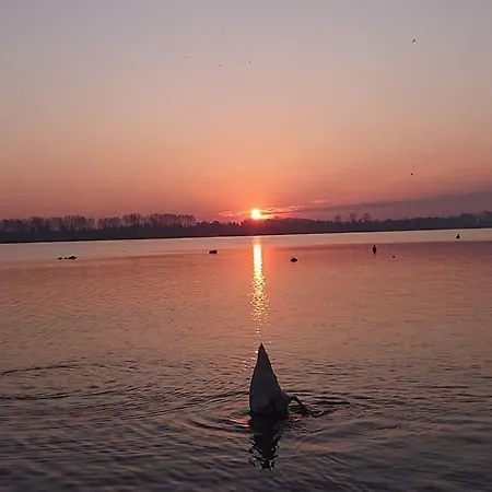 Danube House, * Belgrade